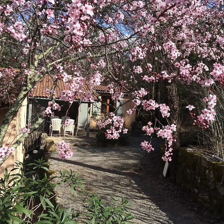 Manoir De Champvert Les Vans Holiday home